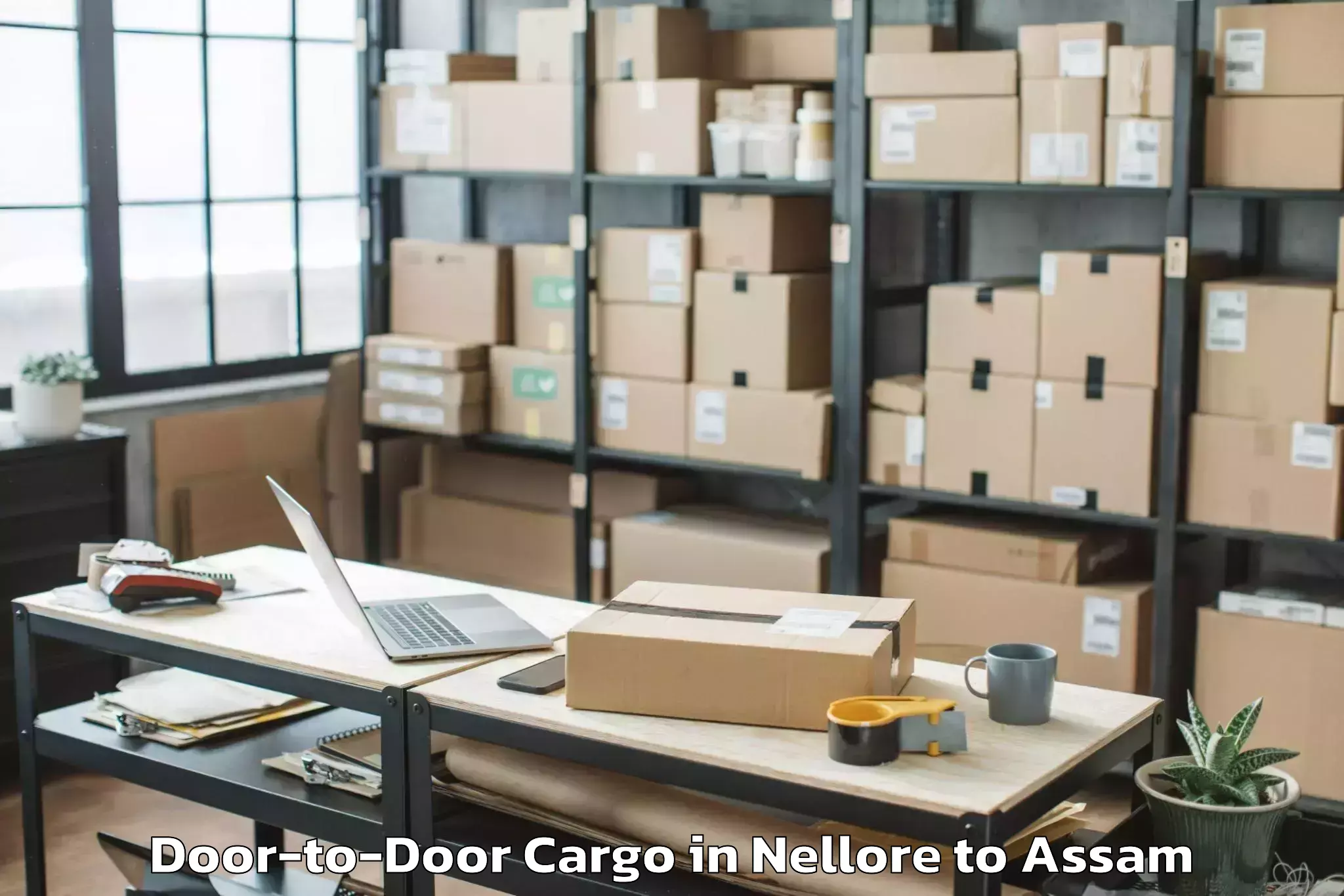 Leading Nellore to Guwahati University Door To Door Cargo Provider